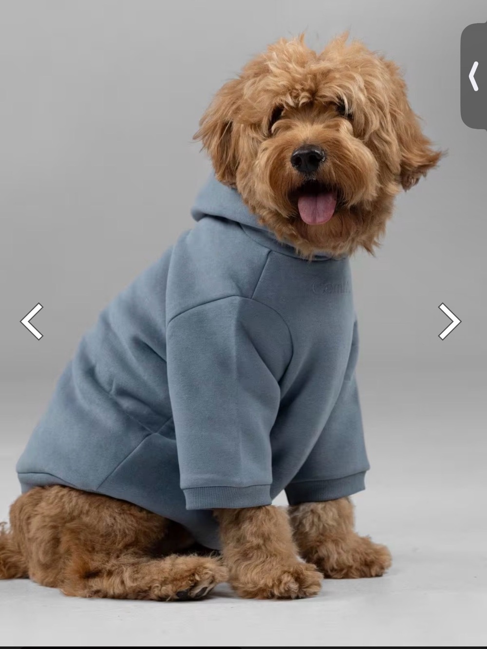Comfrt Signature Paw Hoodie Steel Grey